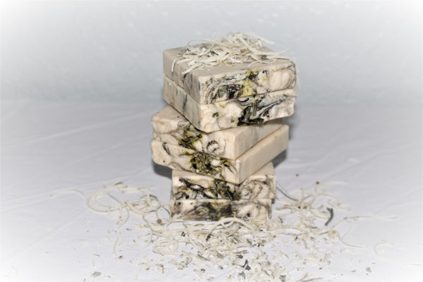 Aloe & Eucalyptus Bar Soap | Handcrafted Soap | *Palm Free*