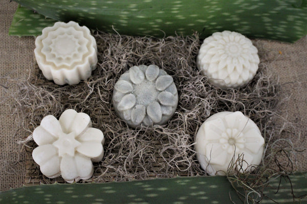 Aloe & Eucalyptus Flower Bar | Handcrafted Soap | *Palm Free*