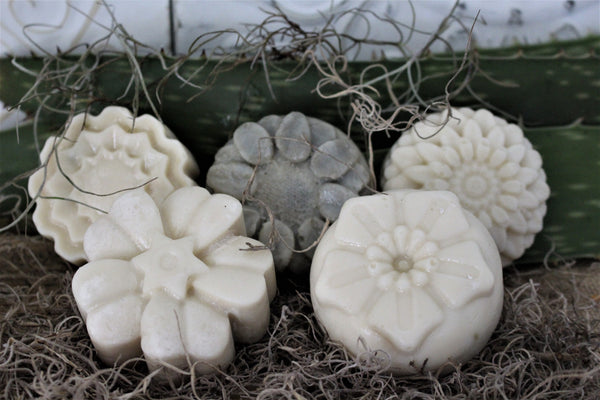 Aloe & Eucalyptus Flower Bar | Handcrafted Soap | *Palm Free*