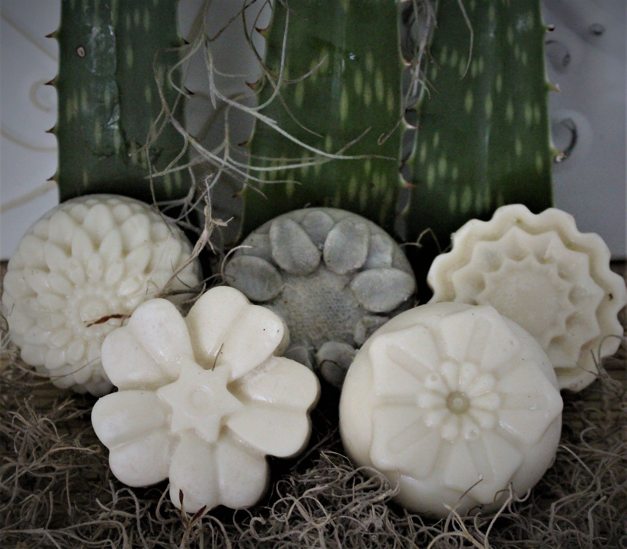 Aloe & Eucalyptus Flower Bar | Handcrafted Soap | *Palm Free*